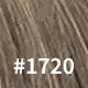 #1720