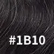 #1B10