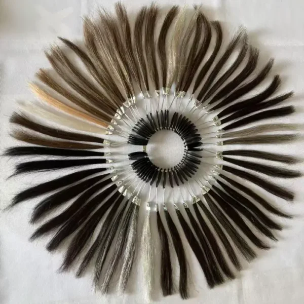 Color Ring for Men Toupee Human Hair Used for Hair Piece Hair Systems